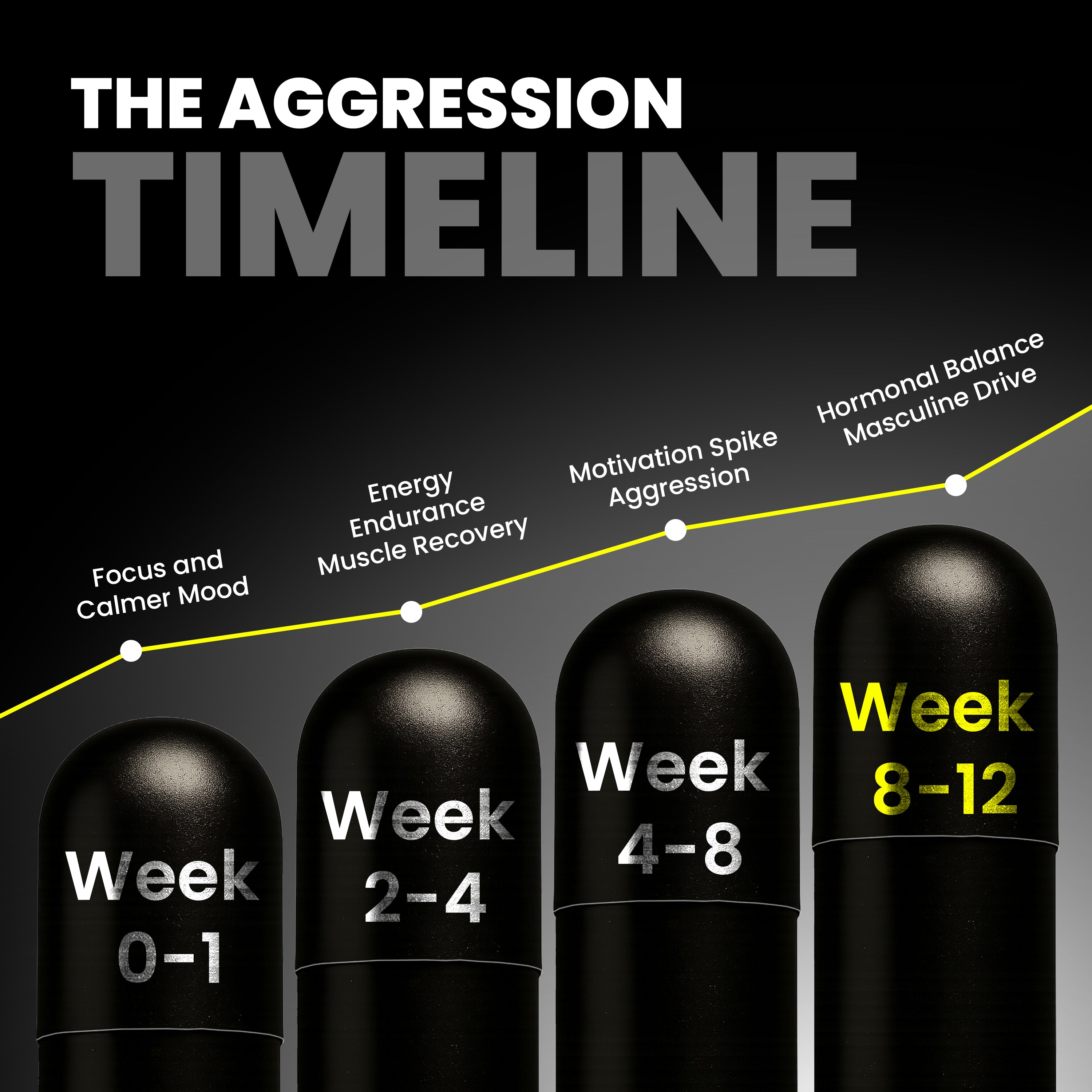 GodMode Aggression – Ashwagandha & Shilajit Capsules for Strength & Focus