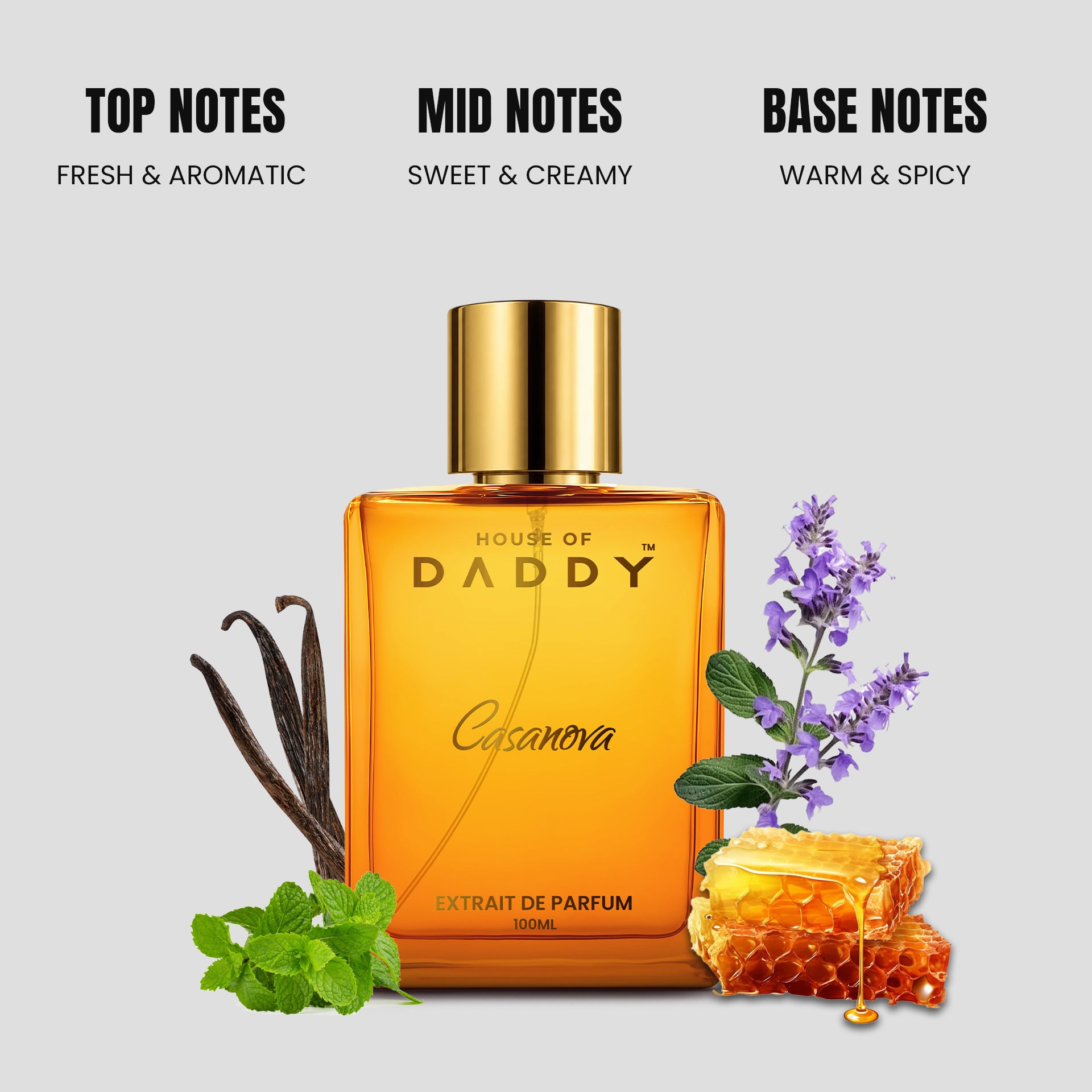 DADDY Casanova