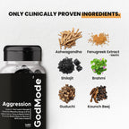 GodMode Aggression – Ashwagandha & Shilajit Capsules for Strength & Focus